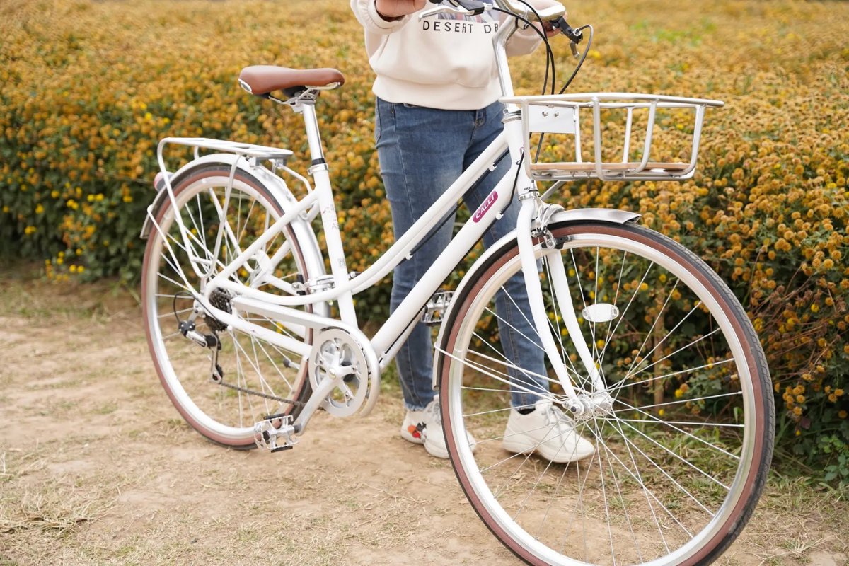Xe đạp thành phố cho nữ thiết kế đầy đủ phụ kiện tiện lợi