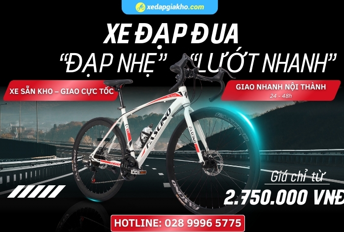 Banner xe đạp đua