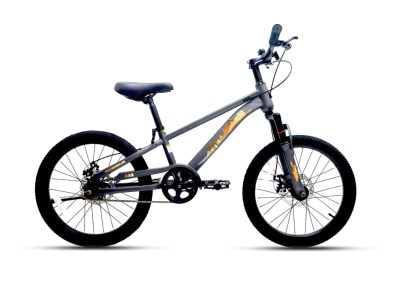 Xe Đạp Địa Hình Trẻ Em Raccoon Hudson 18 Inch