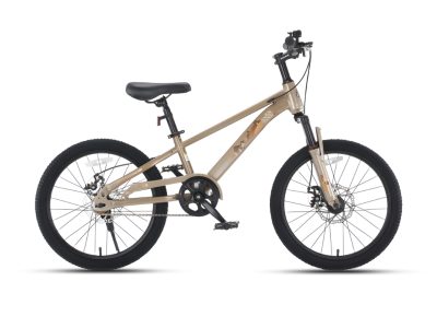 Xe Đạp Trẻ Em Raccoon Hudson 20 Inch