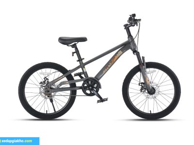 Xe Đạp Địa Hình Trẻ Em Raccoon Hudson 20 Inch 5 Xe Đạp Trẻ Em Raccoon Hudson 20 Inch - Xám