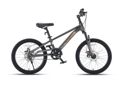 Xe Đạp Trẻ Em Raccoon Hudson 22 Inch