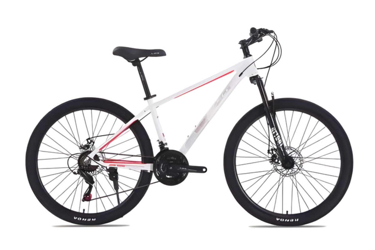 Xe đạp địa hình dành cho người thích mạo hiểm