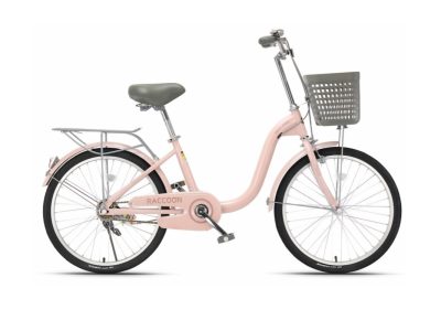 Xe đạp nữ Raccoon Hanna 24 inch