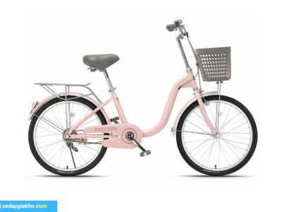 Xe đạp nữ Raccoon Hanna 24 inch màu hồng
