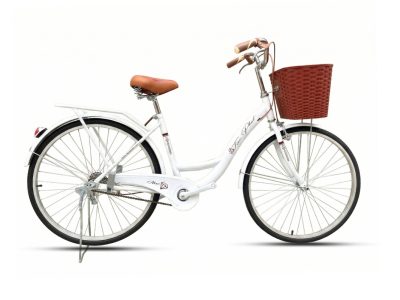 Xe đạp nữ Tiến Phát