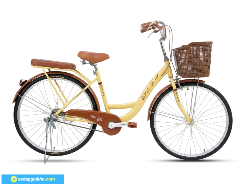 Xe Đạp Nữ Tiến Phát 24 inch - Xe Đạp Từ Thiện 13 Xe đạp nữ Tiến Phát đa dạng màu sắc