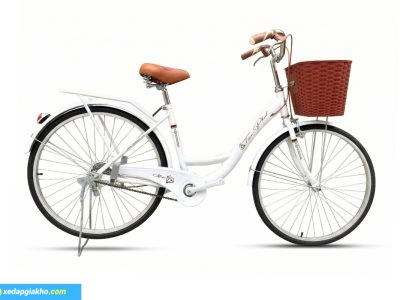 Xe Đạp Nữ Tiến Phát 24 inch - Xe Đạp Từ Thiện 9 Xe đạp nữ Tiến Phát - Màu trắng