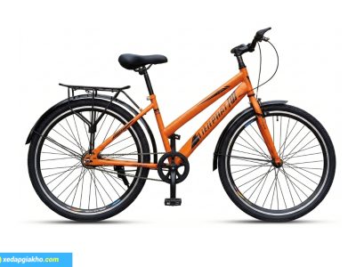 Xe Đạp Thể Thao Tiến Phát 24 Inch - Xe Đạp Từ Thiện 9 Xe đạp thể thao Tiến Phát - Màu cam