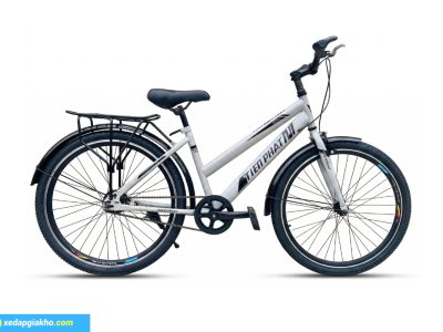 Xe Đạp Thể Thao Tiến Phát 24 Inch - Xe Đạp Từ Thiện 6 Xe đạp thể thao Tiến Phát - Màu xám