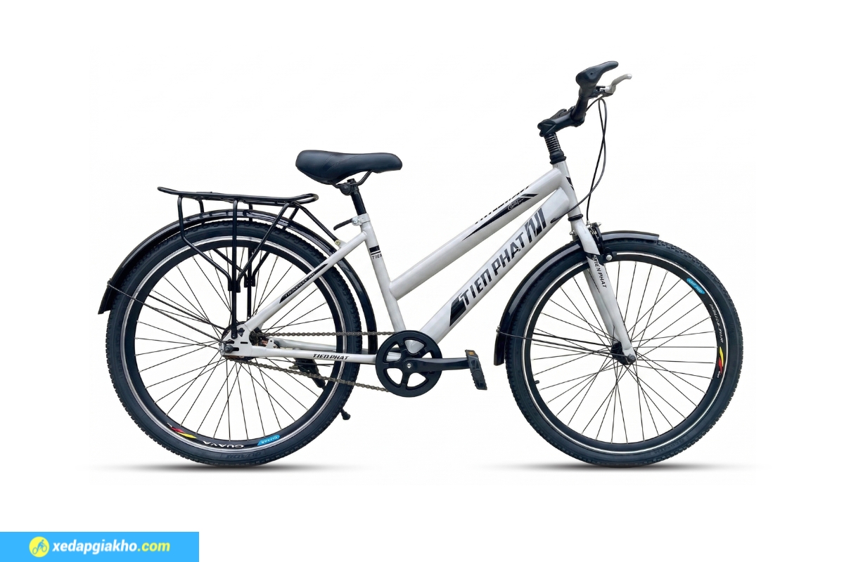 Xe Đạp Thể Thao Tiến Phát 24 Inch - Xe Đạp Từ Thiện 2 Xe đạp thể thao Tiến Phát - Màu xám