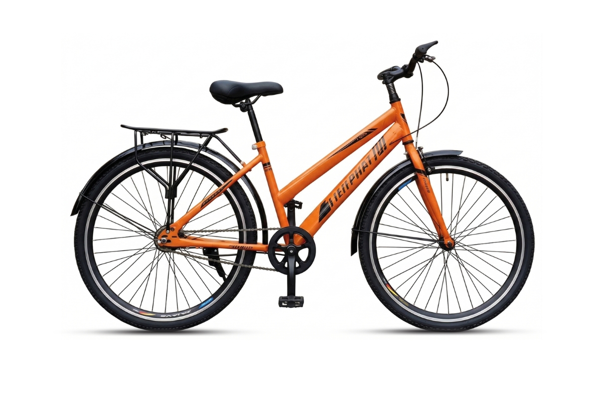 Xe Đạp Thể Thao Tiến Phát 24 Inch - Xe Đạp Từ Thiện 1 Xe đạp thể thao Tiến Phát