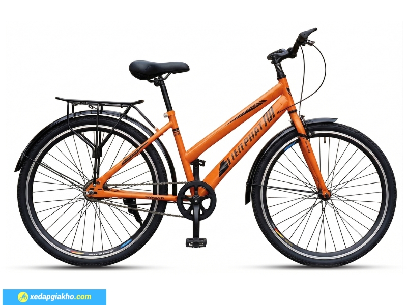 Xe Đạp Thể Thao Tiến Phát 24 Inch - Xe Đạp Từ Thiện 13 Xe đạp thể thao Tiến Phát bộ truyền động đơn tốc