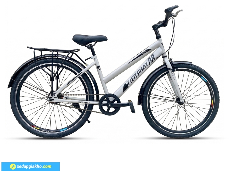 Xe Đạp Thể Thao Tiến Phát 24 Inch - Xe Đạp Từ Thiện 12 Xe đạp thể thao Tiến Phát có sẵn baga, chắn bùn