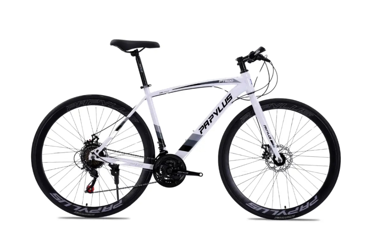 Mẫu xe đạp touring Papylus PT500 mạnh mẽ