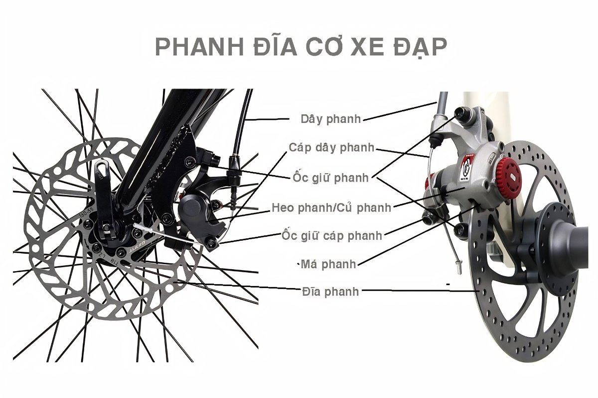 Phanh đĩa cơ dùng phổ biến nhất, dễ sử dụng cho nhiều đối tượng