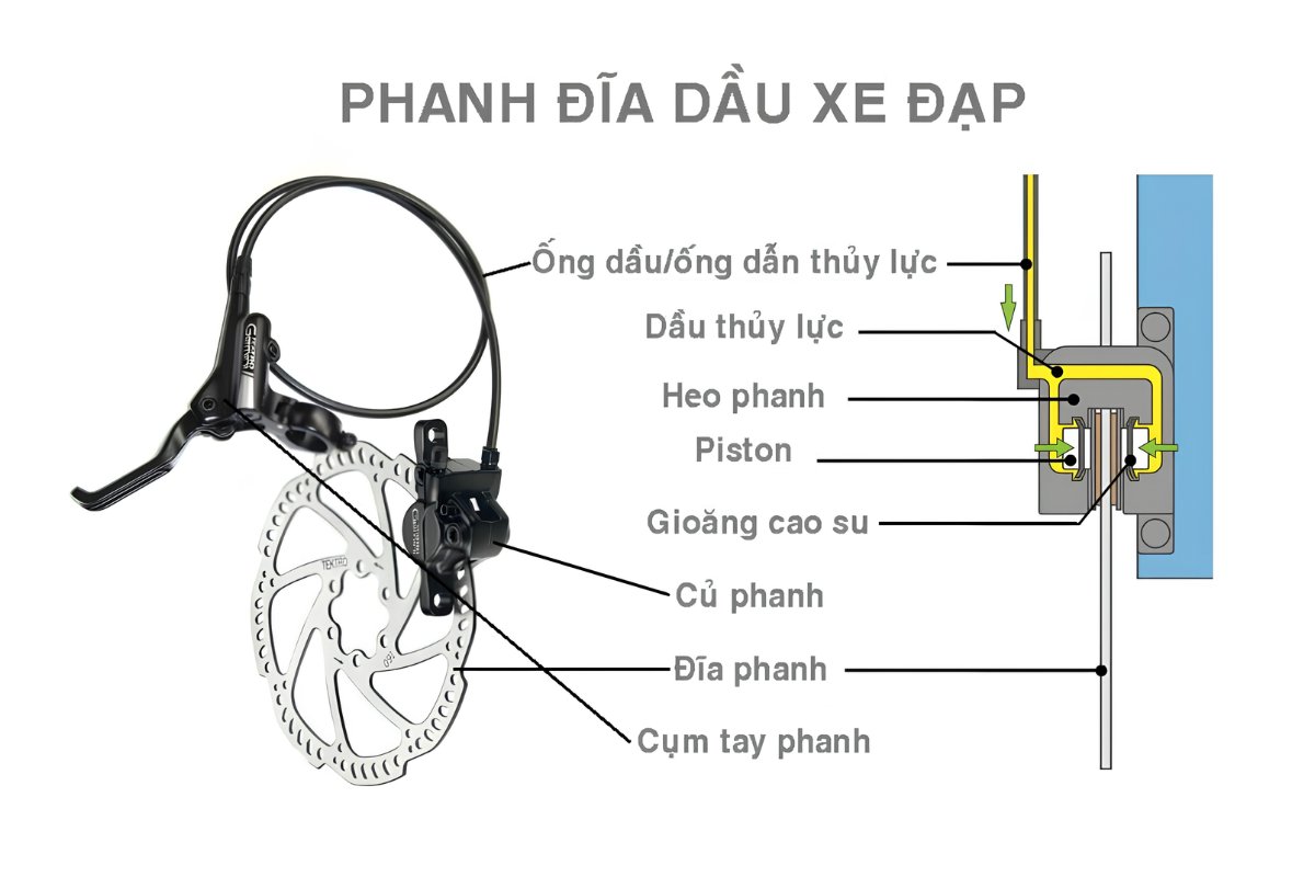 Phanh đĩa dầu có phân khúc giá thành cao