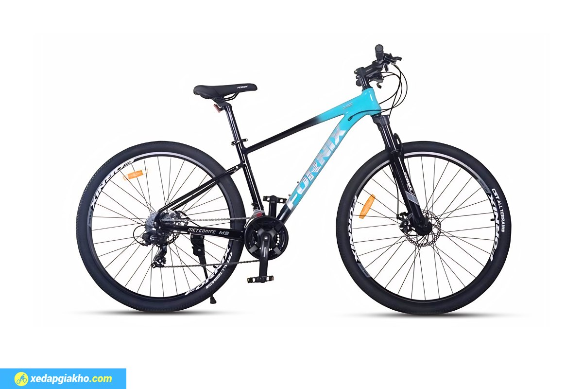 Xe đạp địa hình Fornix M9 29 inch phù hợp mọi nhu cầu