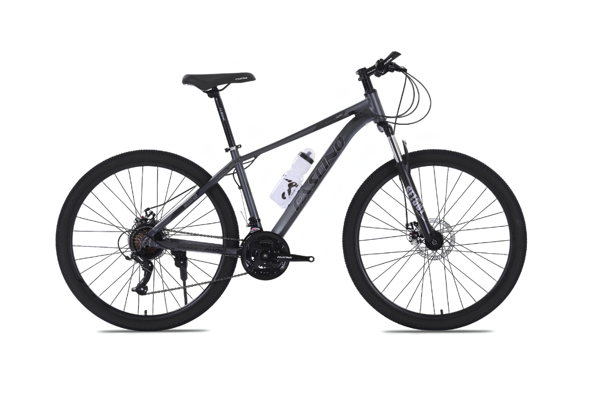 Mẫu xe đạp địa hình MTB Fascino 429, dáng thể thao nam tính