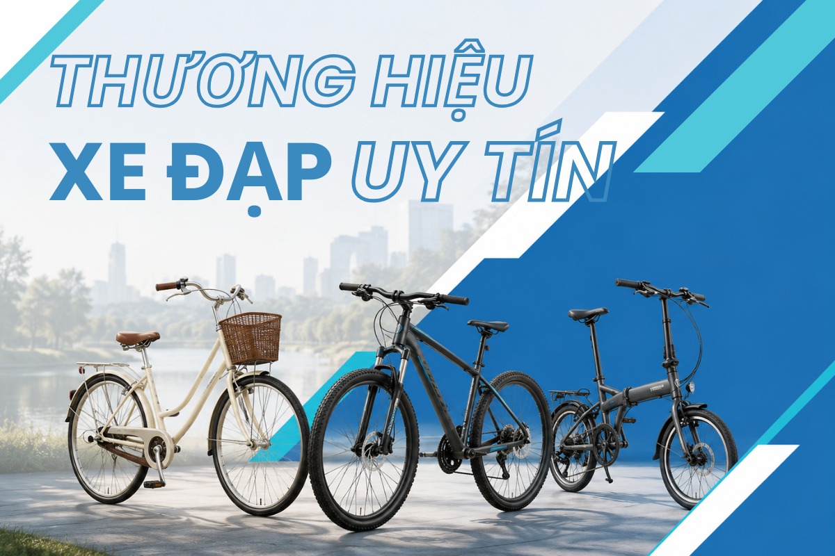 Xe đạp của thương hiệu uy tín không chỉ bền bỉ, bắt mắt còn mang lại sự thoải mái