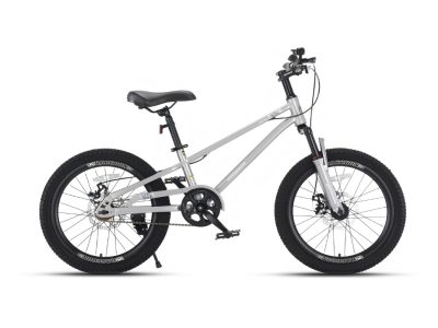Xe Đạp Trẻ Em Raccoon Nelson 18 Inch