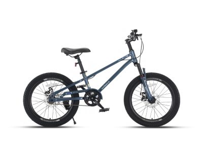 Xe Đạp Trẻ Em Nữ Vicky VG12 12 Inch 10 xe đạp trẻ em raccoon nelson 20 inch