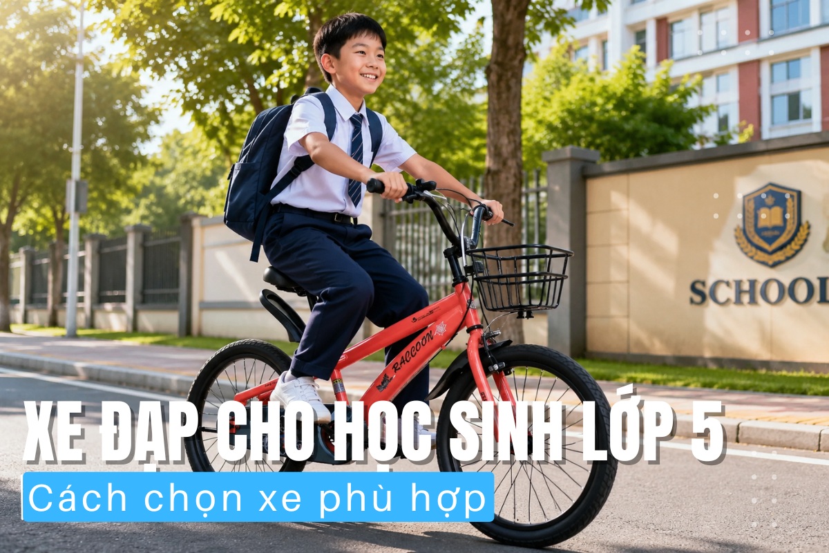 Xe Đạp Cho Học Sinh Lớp 5 - Cách Chọn Xe Phù Hợp 18 Xe đạp cho học sinh lớp 5 và cách chọn xe phù hợp