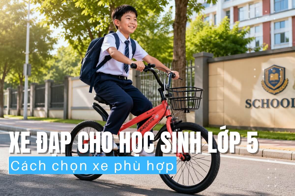 Xe đạp cho học sinh lớp 5 và cách chọn xe phù hợp