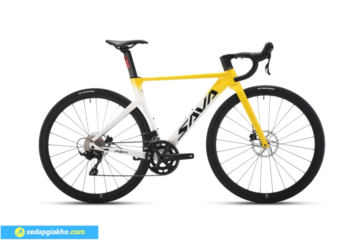 Xe đạp đua trên 10 triệu đạt chuẩn UCI