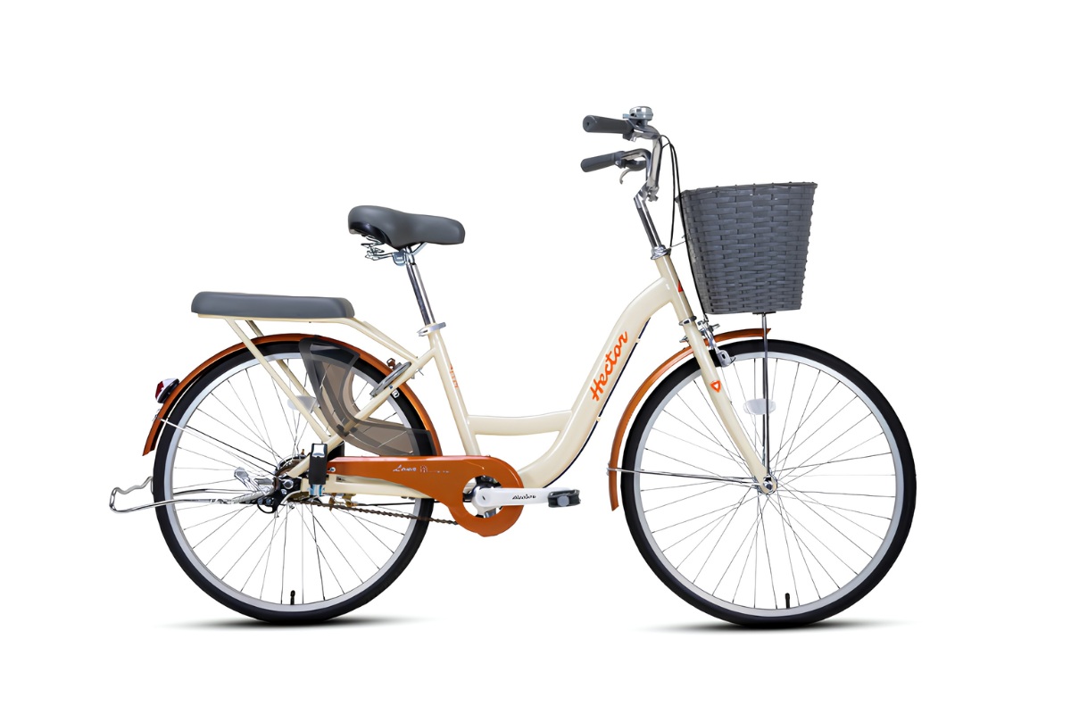 Xe Đạp Cho Học Sinh Lớp 5 - Cách Chọn Xe Phù Hợp 7 Xe đạp trẻ em Hector Lona 1 20 inch nữ tính