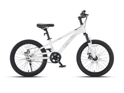 Xe đạp trẻ em Qitong Carson 18 inch