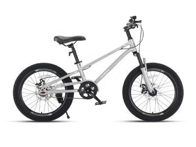 Xe Đạp Địa Hình Trẻ Em QT Bike QT120 20 Inch 24 Xe đạp trẻ em Raccoon Nelson