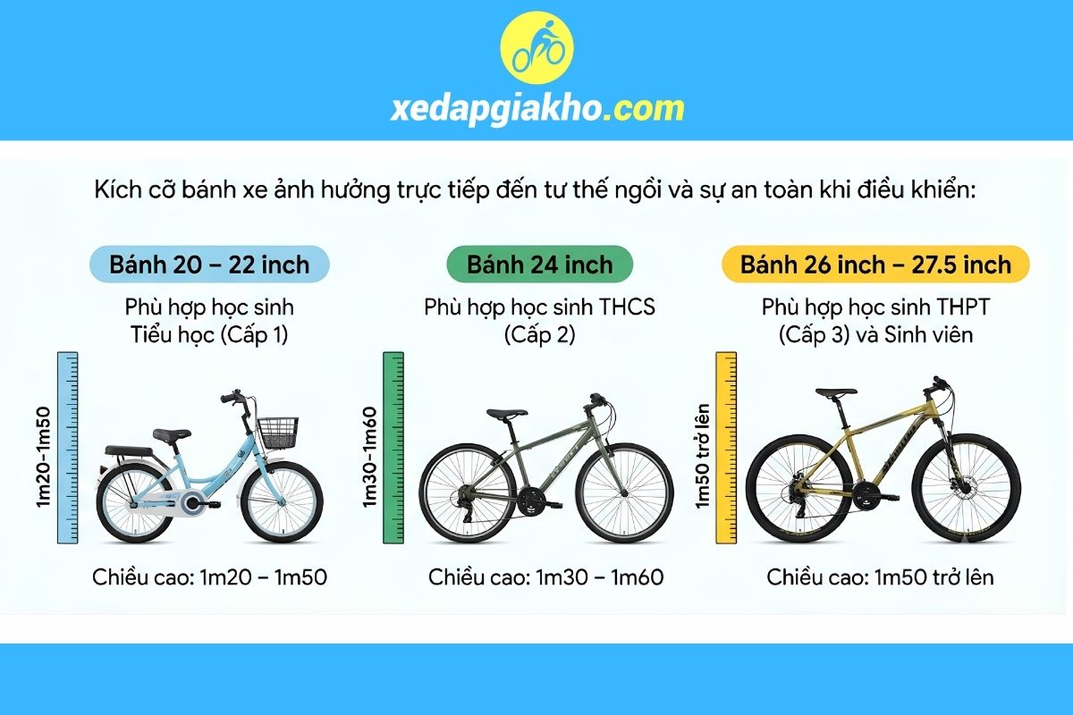 Xe Đạp Đi Học Loại Nào Tốt? Top Mẫu Đẹp, Bền Và Đáng Mua 3 bảng chọn size bánh xe phù hợp theo chiều cao