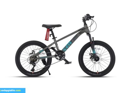 Xe Đạp Địa Hình Trẻ Em Veleon V-211 TP20 20 Inch 6 Xe đạp địa hình trẻ em Veleon V-211 TP20 20 inch màu xám
