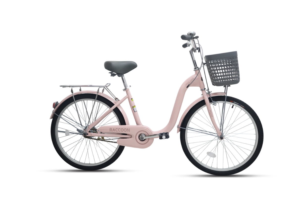 Xe Đạp Đi Học Loại Nào Tốt? Top Mẫu Đẹp, Bền Và Đáng Mua 7 xe đạp học sinh Raccoon Hanna 24 inch hồng