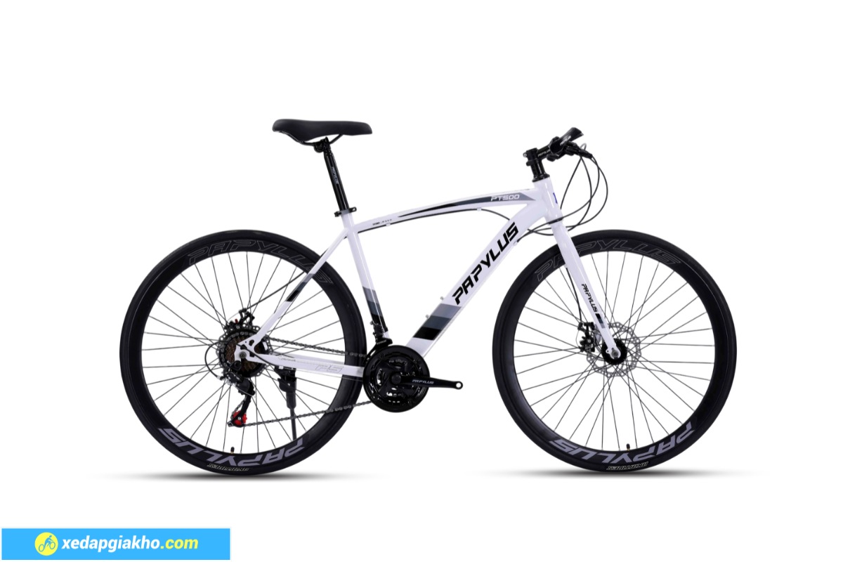 Xe đạp touring Papylus giá rẻ phù hợp người mới bắt đầu