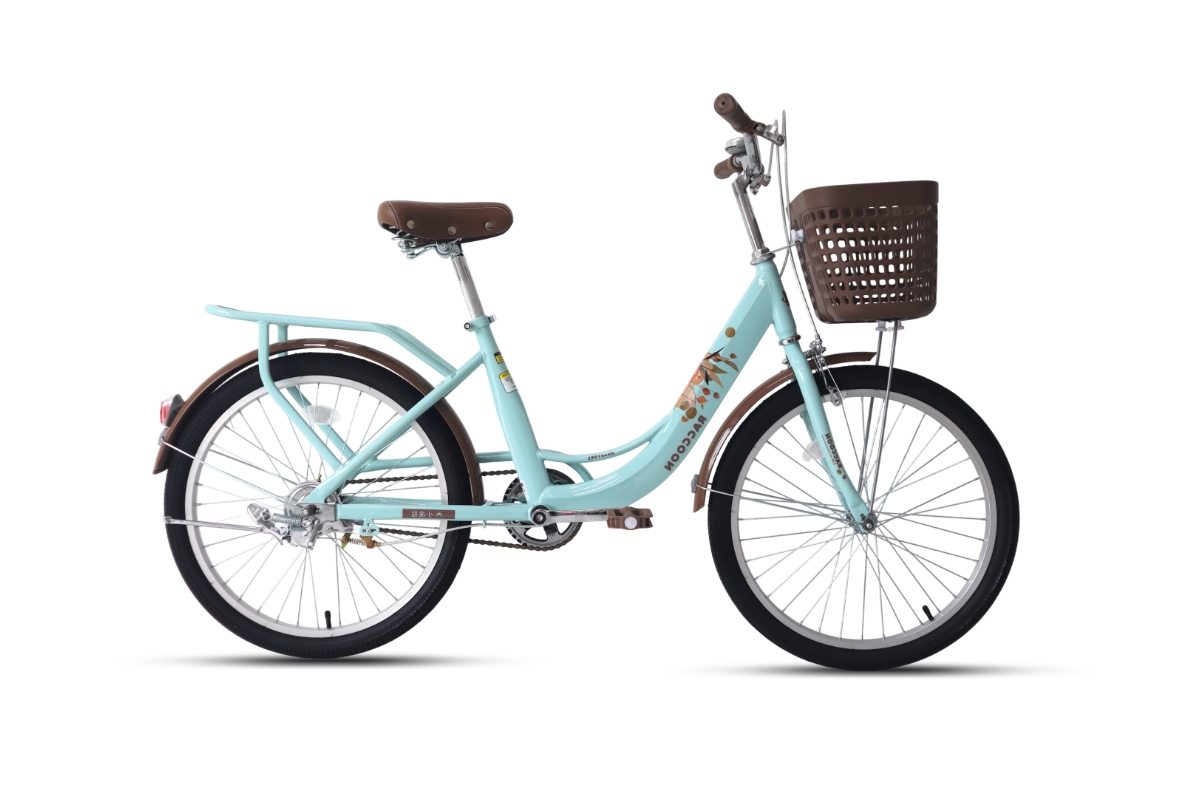 Xe Đạp Đi Học Loại Nào Tốt? Top Mẫu Đẹp, Bền Và Đáng Mua 5 xe đạp trẻ em Raccoon Rina 20 inch xanh mint
