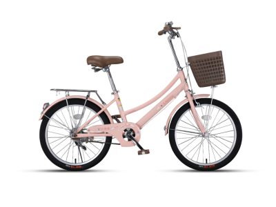 Xe Đạp Địa Hình Trẻ Em QT Bike QT122 22 Inch 20 Xe đạp trẻ em Raccoon Lana 20 inch