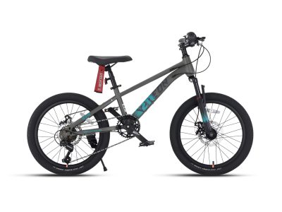 Xe đạp địa hình MTB Veleon V-211 TP20 24 inch