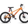 Xe Đạp Địa Hình Trẻ Em Veleon V-211 TP20 22 Inch 13 Xe đạp địa hình trẻ em Veleon V-211 TP20 22 inch