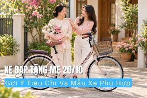 Chọn Xe Đạp Tặng Mẹ Dịp 20/10 Sao Cho Dễ Đi Và Vừa Người 10 Gợi ý một số tiêu chí chọn xe và mẫu xe đạp tặng mẹ 20/10