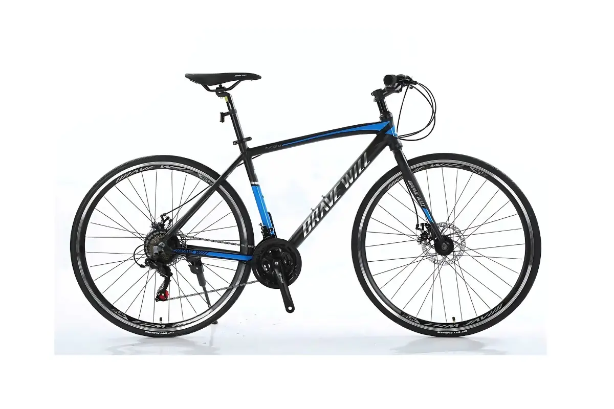 Xe Đạp Touring Brave Will R3000 700c Màu Xanh