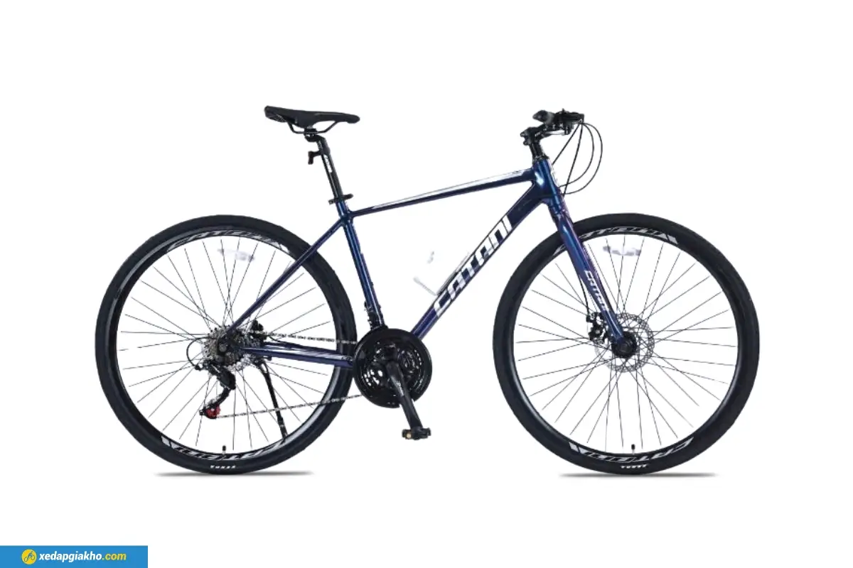 Xe Đạp Touring Catani CA-2.1 màu xanh đổi màu
