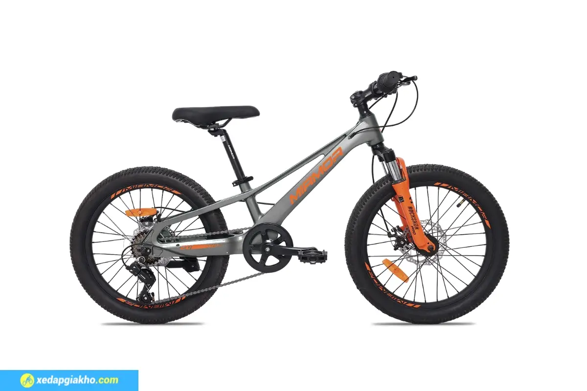 Xe Đạp Trẻ Em Royal Baby Miamor 20ABR 20 Inch màu xám