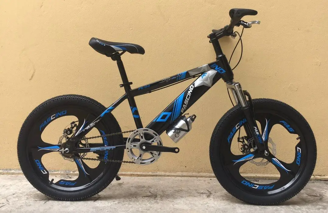 Xe Đạp Trẻ Em 20 Inch FASCINO FS-04 Bánh Mâm - Lá