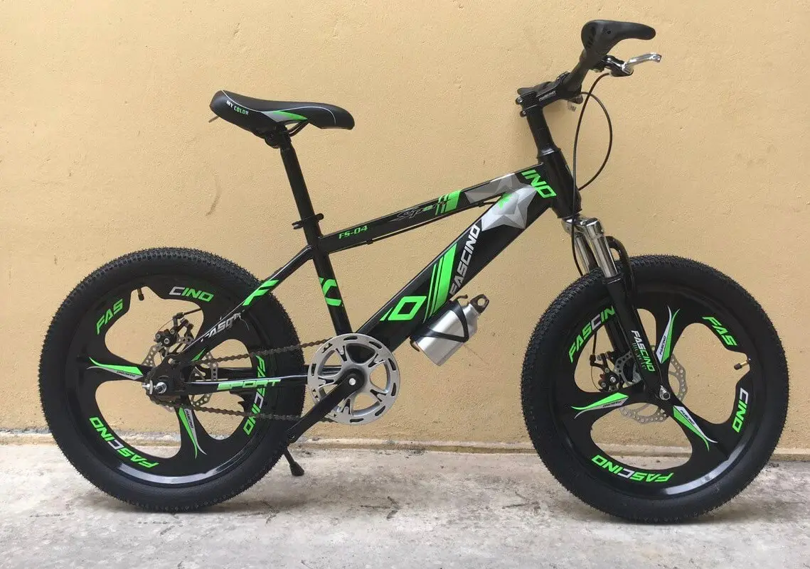Xe Đạp Trẻ Em 20 Inch FASCINO FS-04 Bánh Mâm - Lá