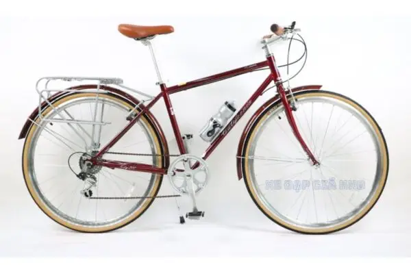Xe Đạp Đường Phố 700c California City 200 2021 5 Xe Đạp Đường Phố 700c California City 200 2021