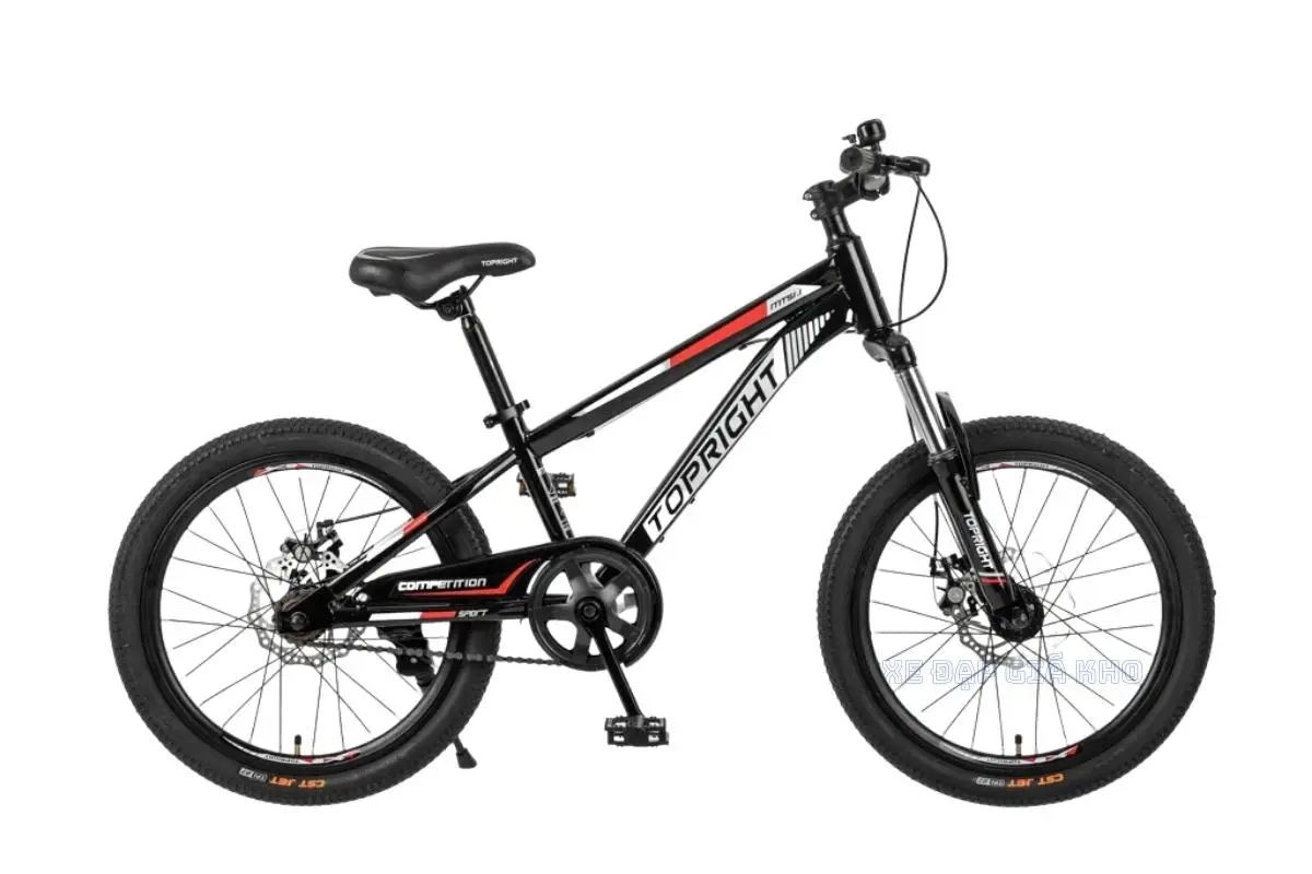 Xe Đạp Trẻ Em 20 Inch Top Right Mark KB85 Không Đề