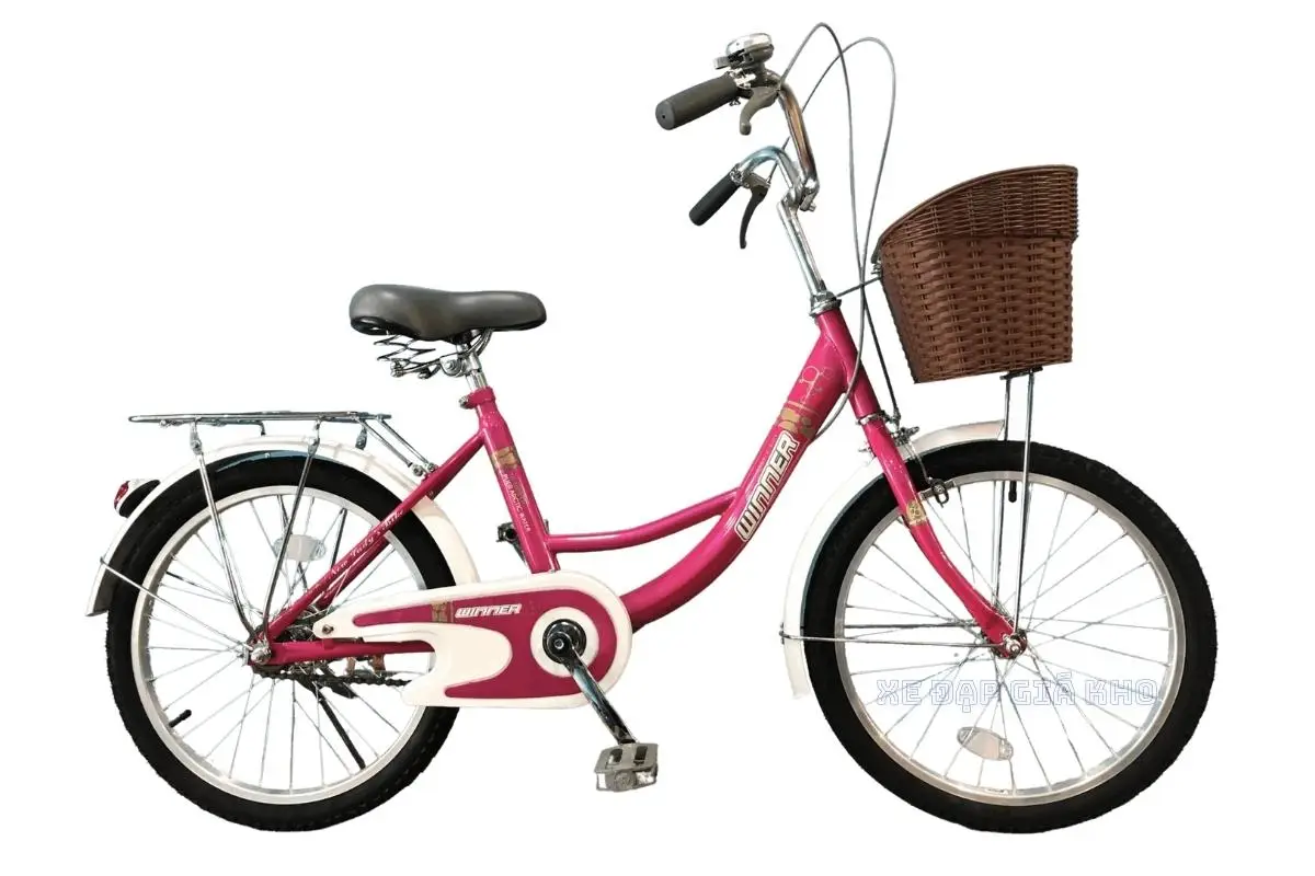 Xe Đạp Trẻ Em 20 Inch Cao cấp WINNER 2005
