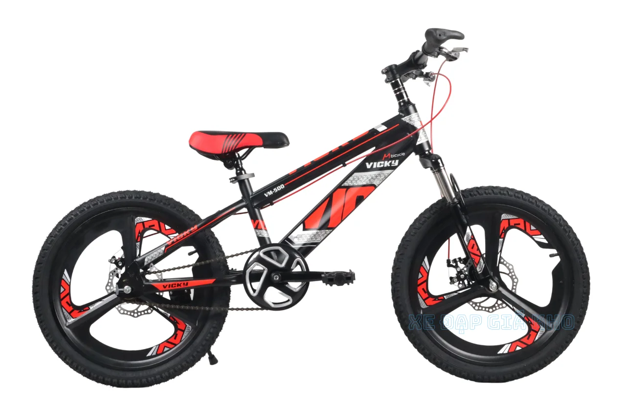 Xe Đạp Cho Bé 20 Inch Vicky VM500 Bánh Mâm - Xanh